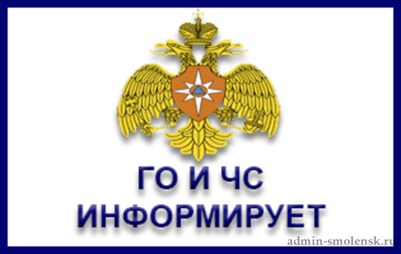 Какой штраф за костер в огороде и куда звонить, если огонь подбирается к даче?.